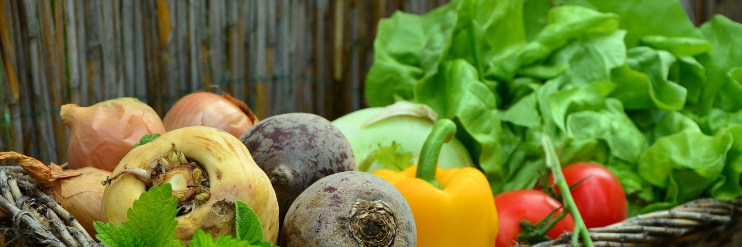 Circular Food banner