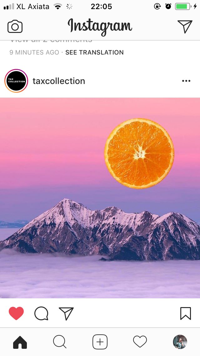 tinyminibeetea's profile banner image