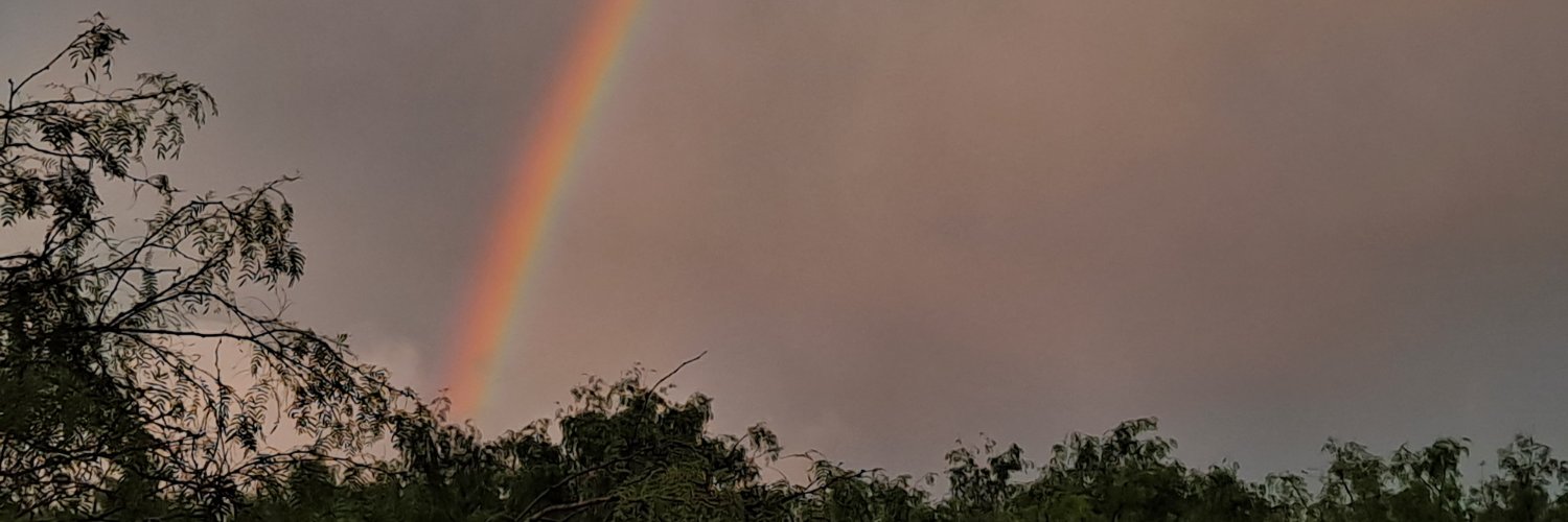 BriscoCoJr's profile banner image