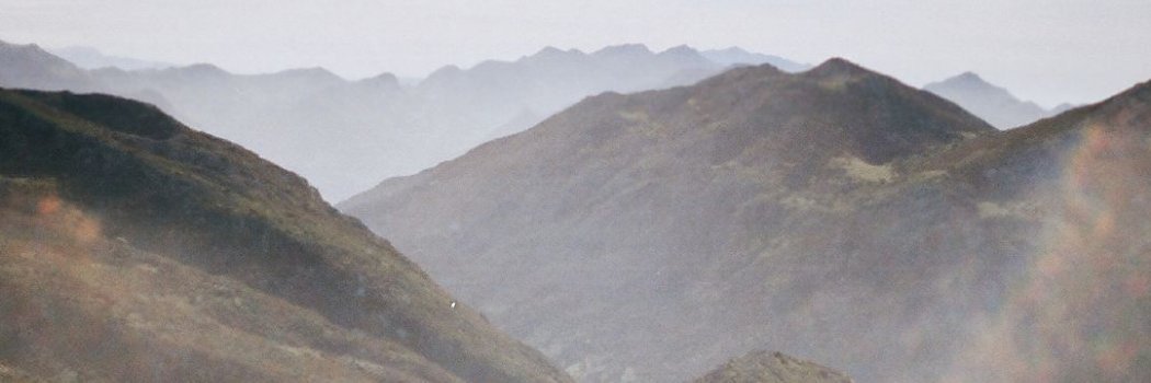 psofiamelo's profile banner image