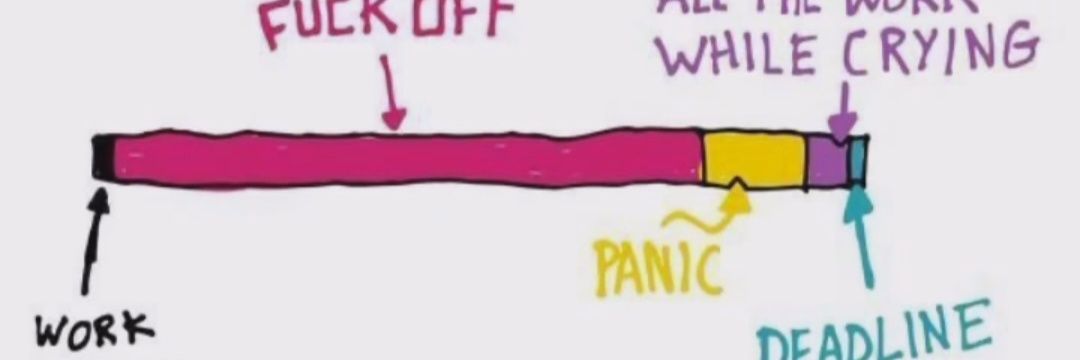 Dr Rachel Helme 👩‍🎓🌻📏 banner