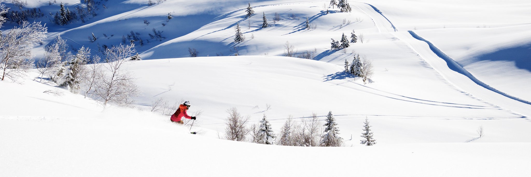 vossresort's profile banner image
