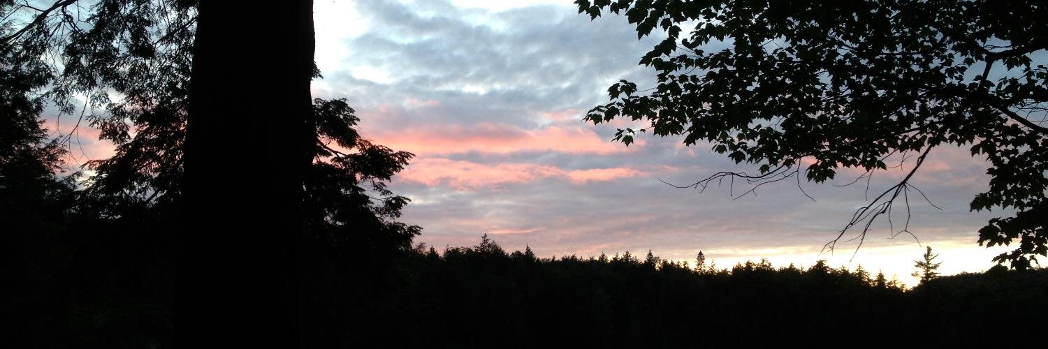 Tamera Dunn 🇺🇦 🇵🇱🇮🇪 🇬🇧🇨🇦 banner