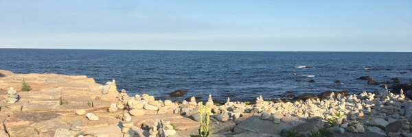 teach_felix Profile Banner