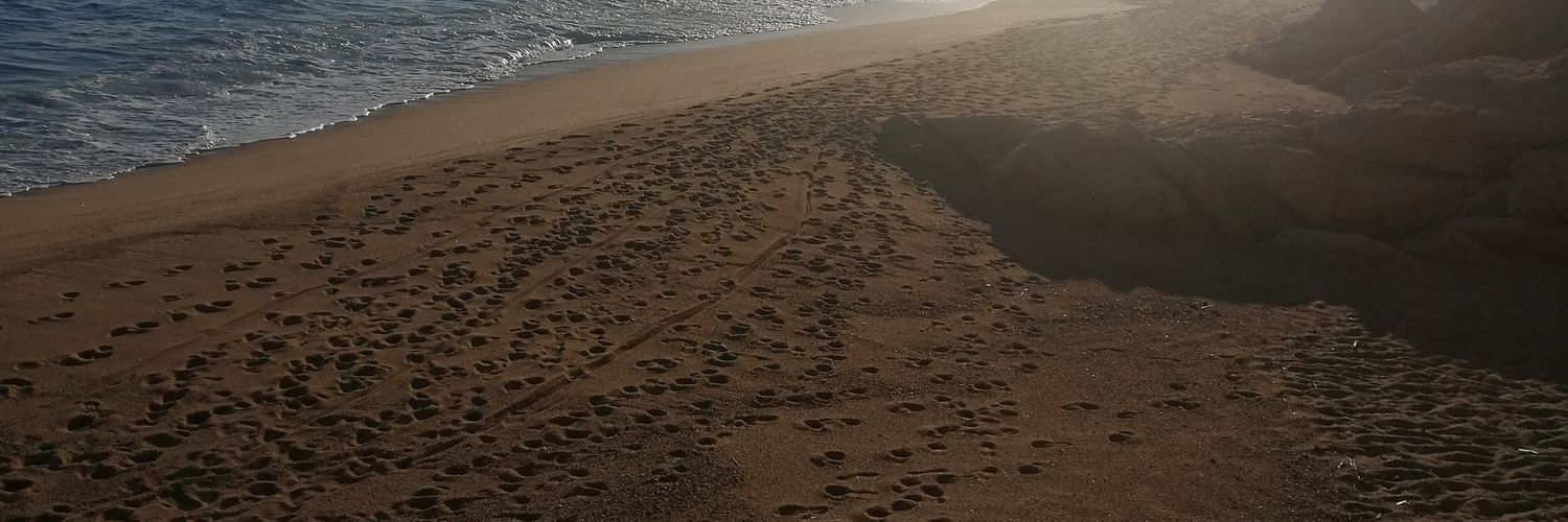 Dememountain's profile banner image