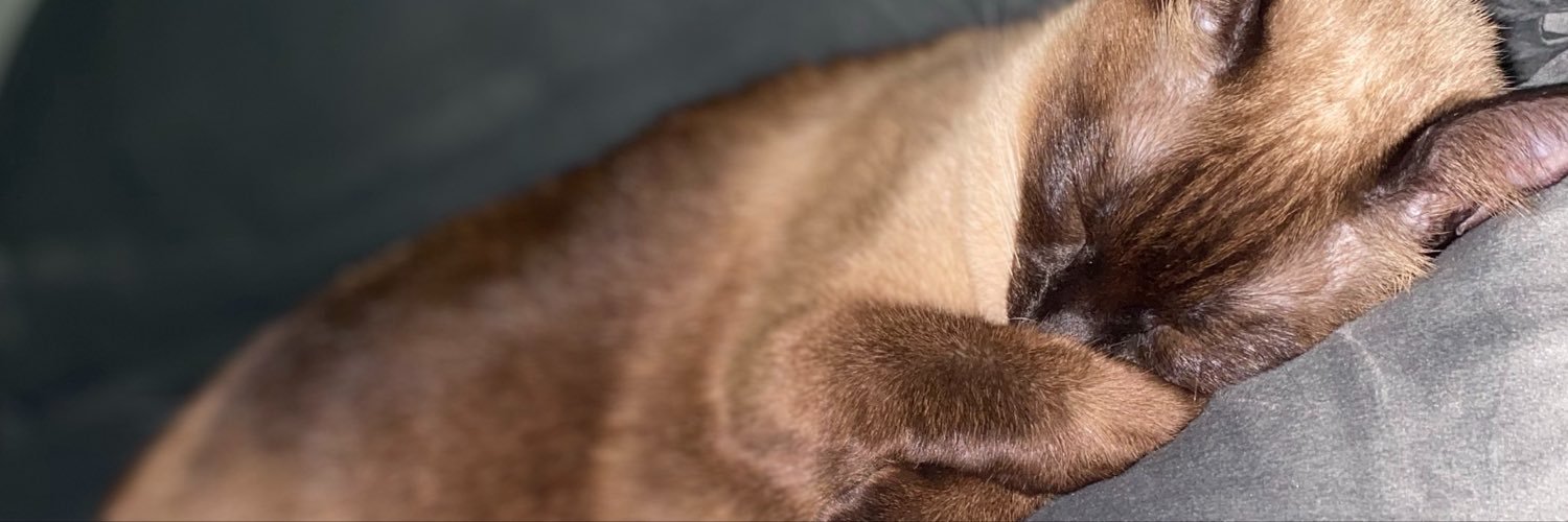 Jenni_kayt's profile banner image