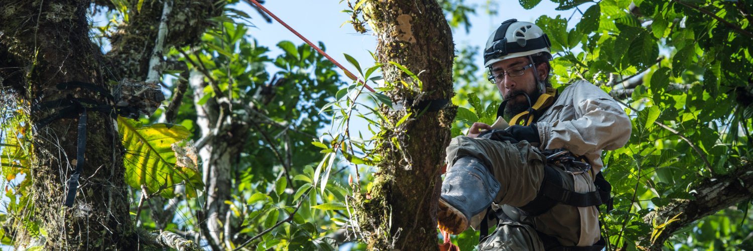 Diego Balbuena banner