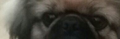 reznincha's profile banner image