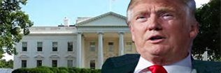 TrumpWatchdogNews banner