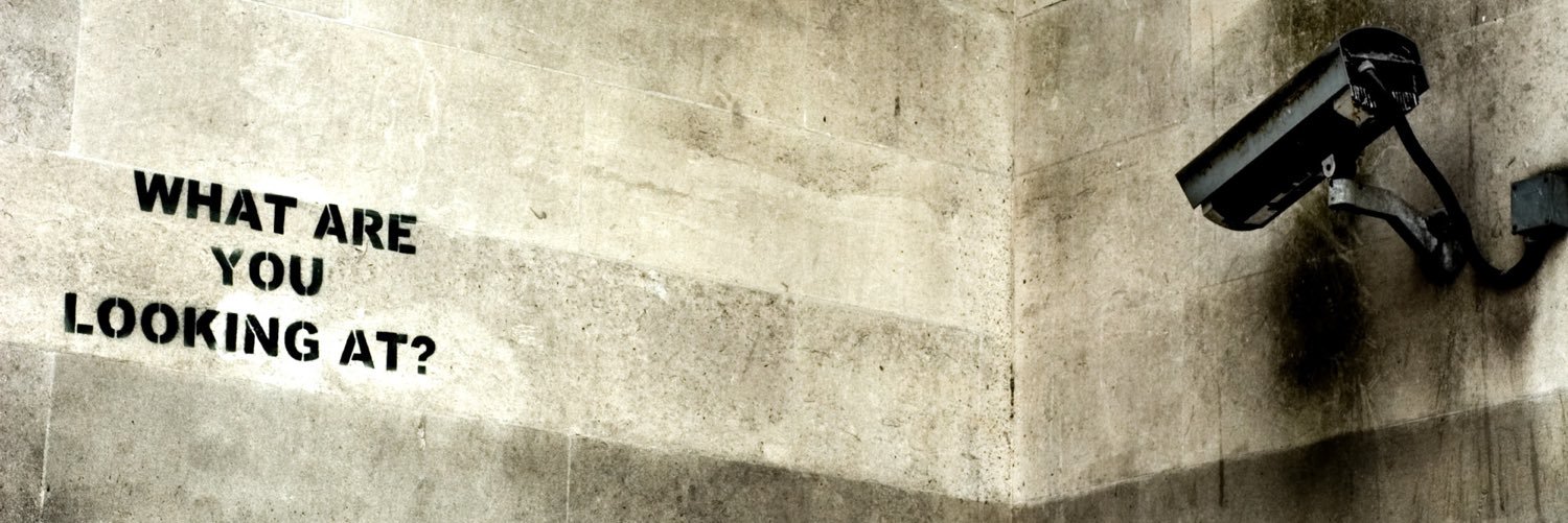 shayshay banner