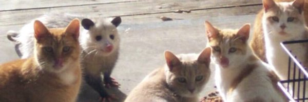 KeebWeebin Profile Banner