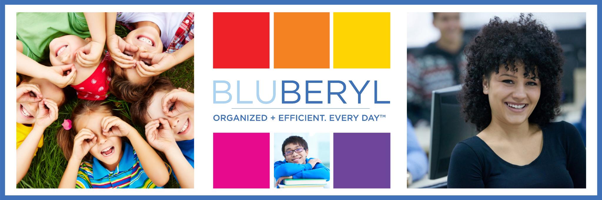 BLUBERYL's profile banner image