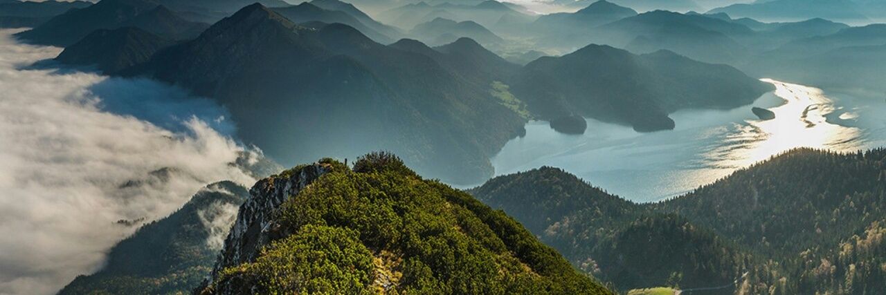 shivambhalla's profile banner image