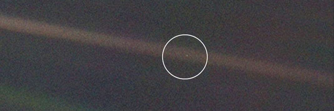 #JewsForPalestine🇵🇸🇾🇪🇸🇴🇸🇾🇦🇫🇮🇶🇭🇹 banner