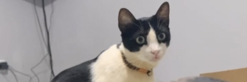 passandoraivaaa's profile banner image