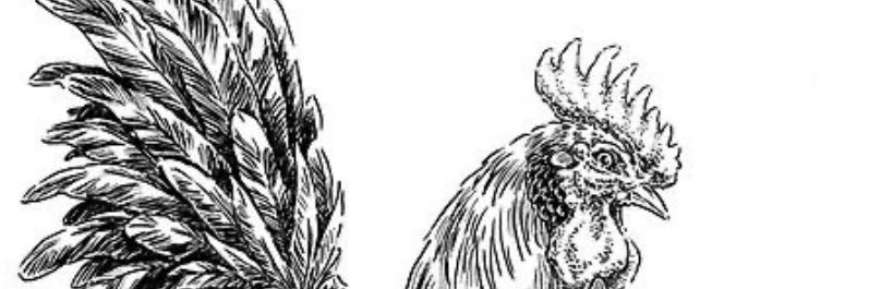 LoPeBric's profile banner image