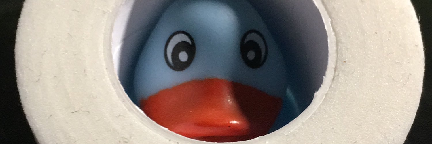 OstvardBlue's profile banner image