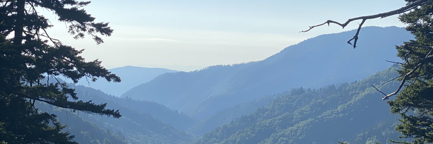 sam_pollock_'s profile banner image
