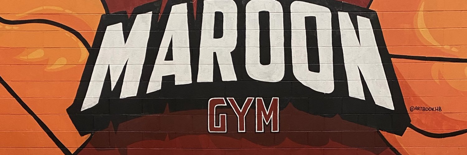 MNHHS LADY HOOPS banner