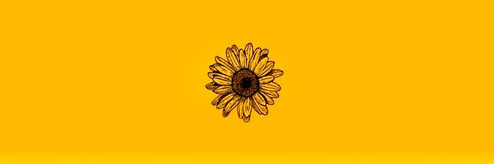 m__ayala's profile banner image