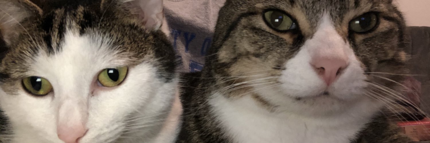Rehanna Stephens (she/her) banner