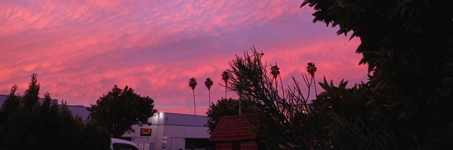 Ariana 🕸️🦇 banner