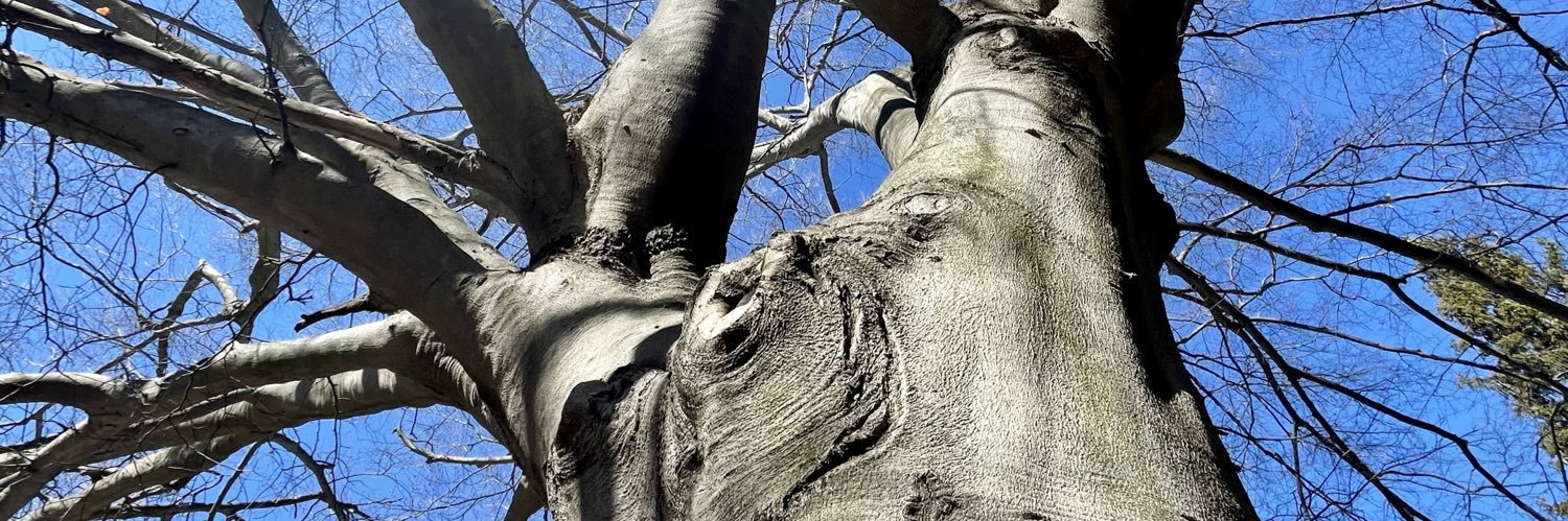 ArcTreeInc's profile banner image