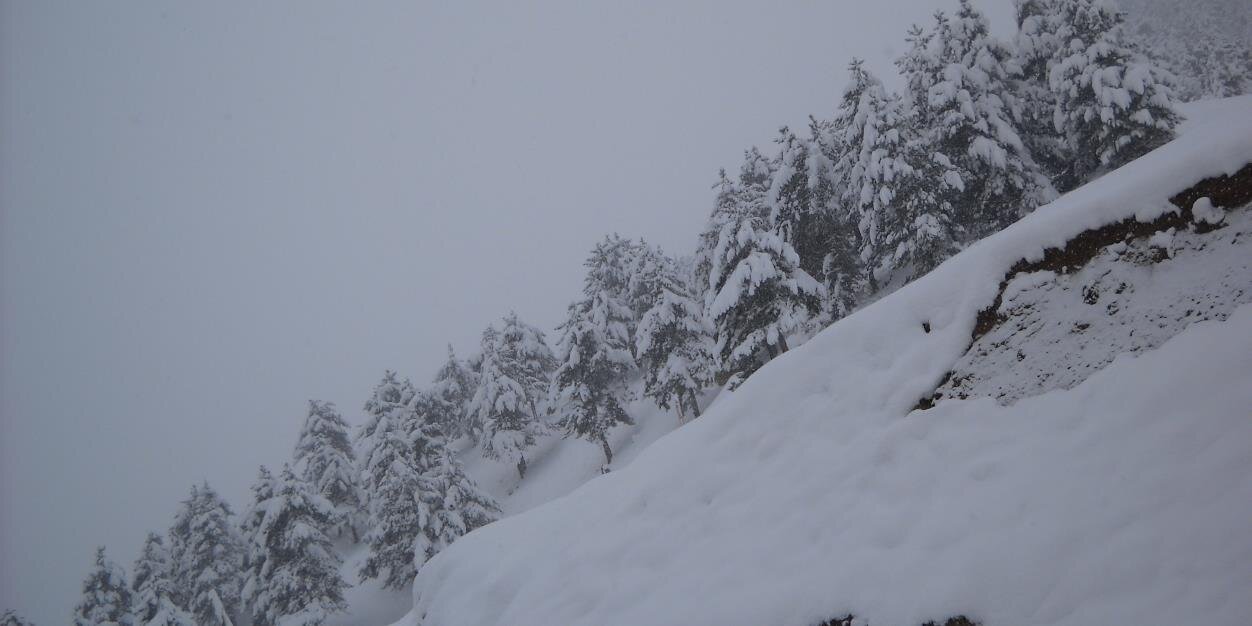 ramazanvicdan's profile banner image