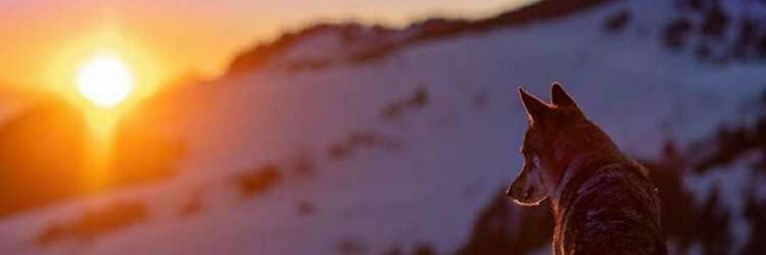 SemihG_39's profile banner image