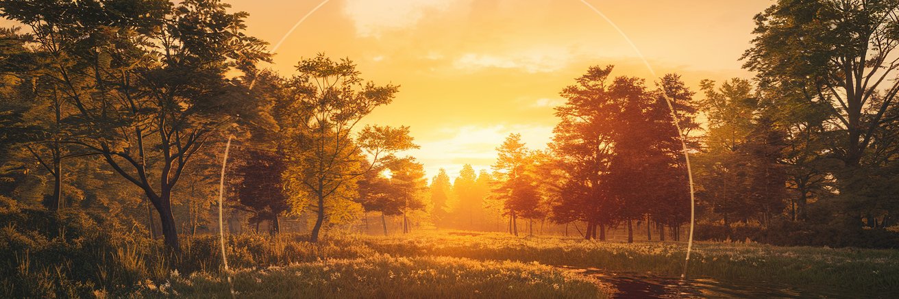 nacchi1111's profile banner image