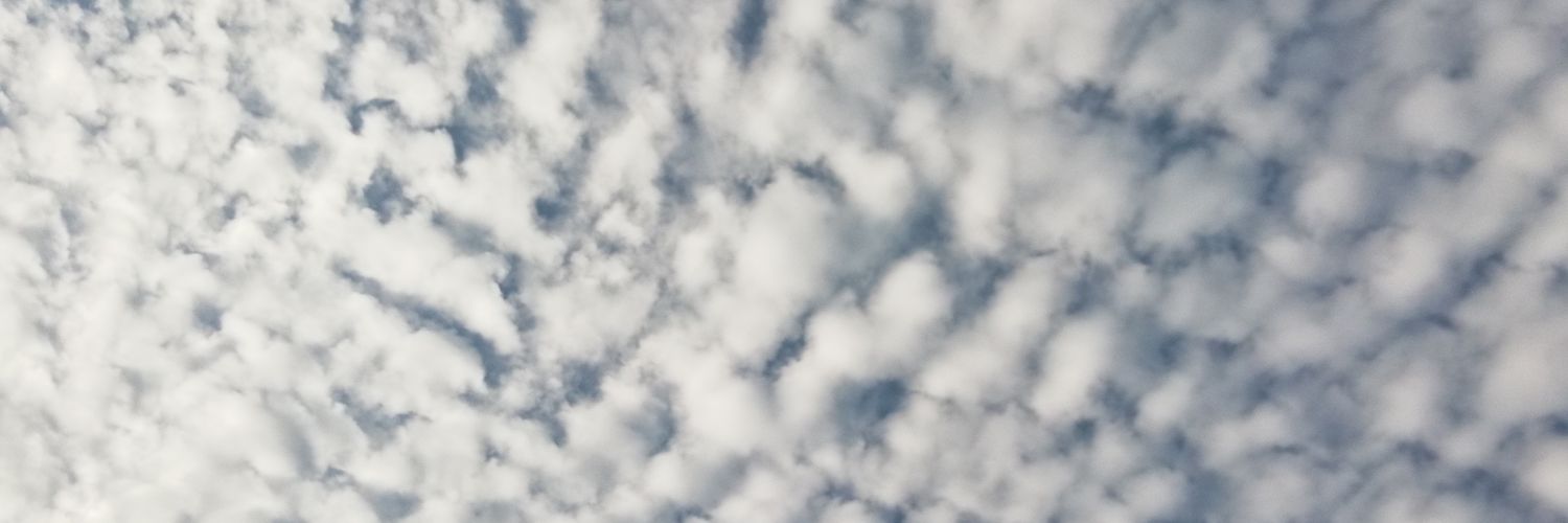 Elsa Mondin-Gava banner