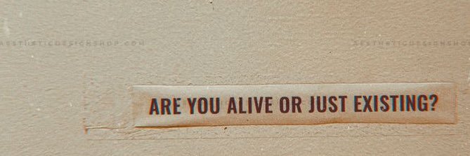R. 🏳️‍🌈 banner