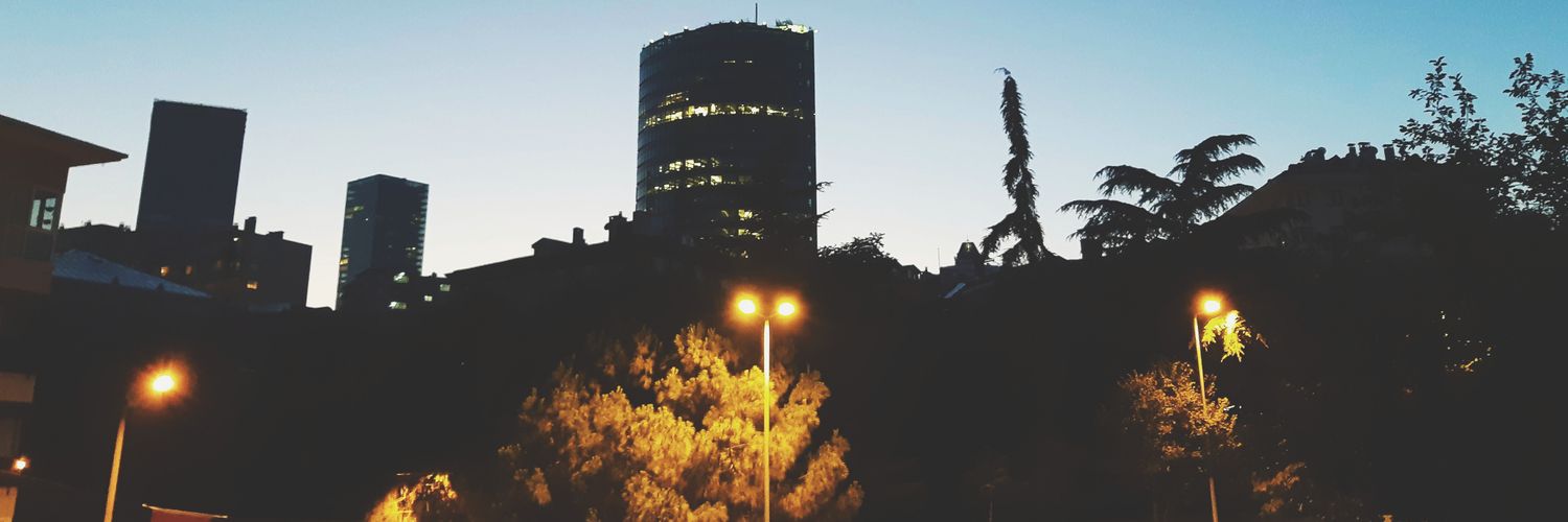 brhmdmrrs's profile banner image