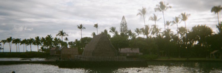sami_lytle's profile banner image