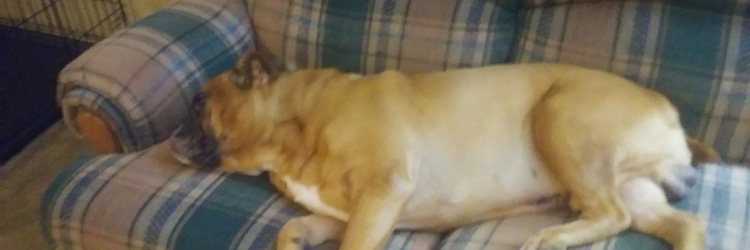 Randy624381's profile banner image