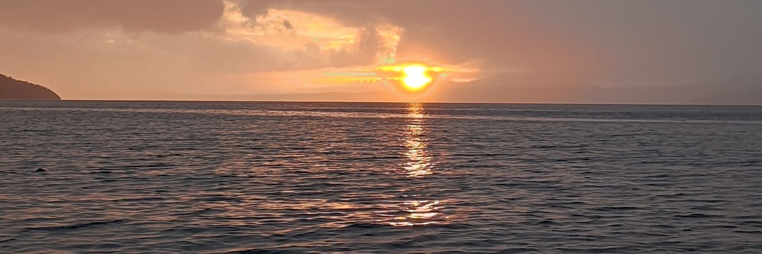 ManoloSepulveda's profile banner image
