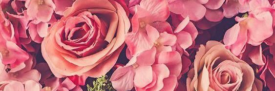 Emily Reyes R. banner