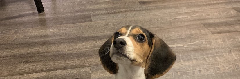 ryan_dooleyyy's profile banner image