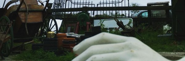 MorgannTemple Profile Banner