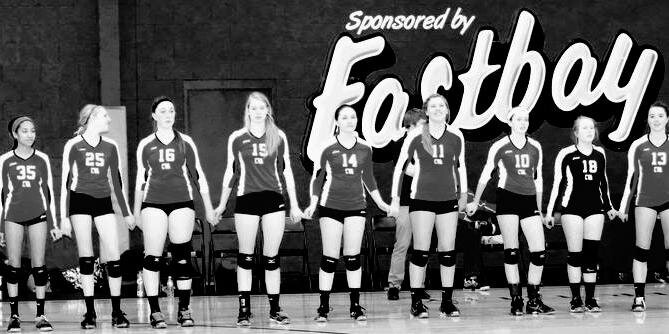 CVA Volleyball banner
