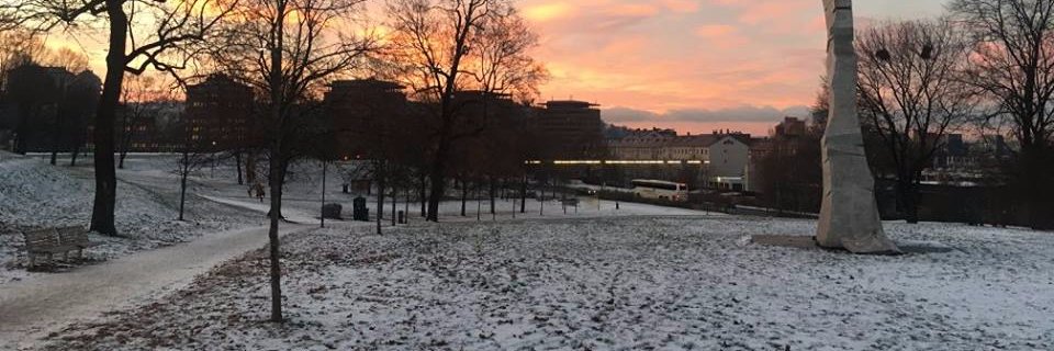 parkrun Norge banner