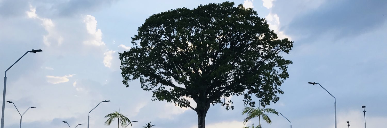 claysonalves's profile banner image