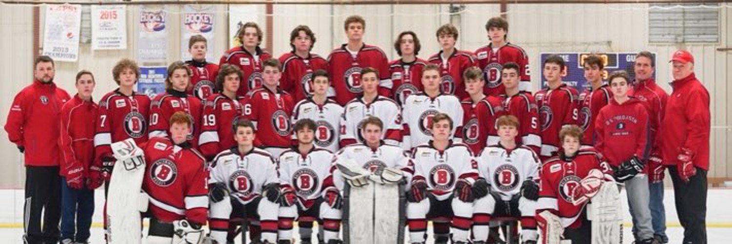 Bville Bees Hockey Profile Banner
