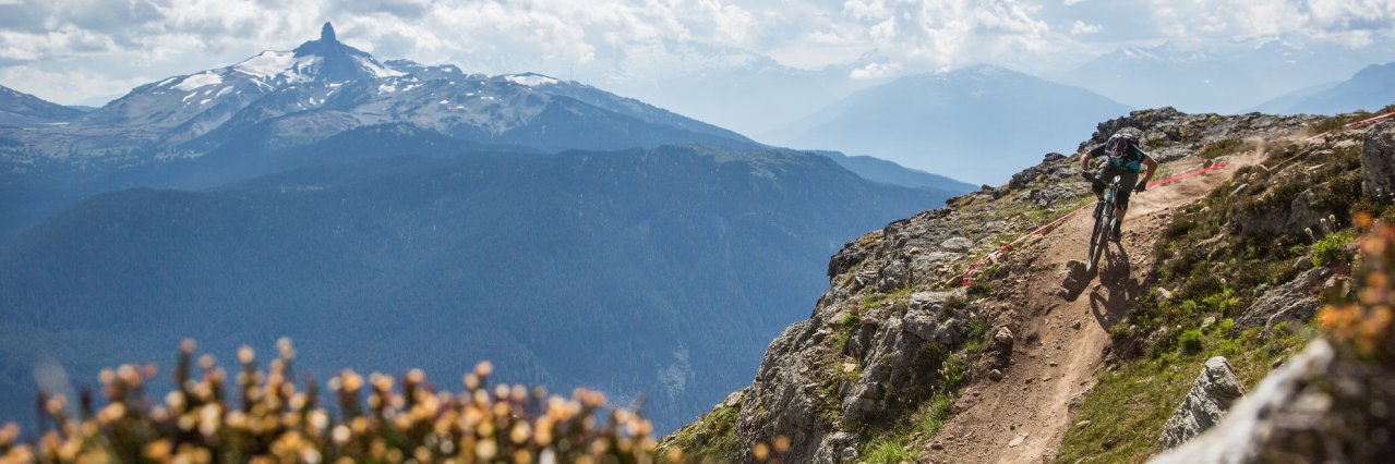 Richard Cunynghame banner