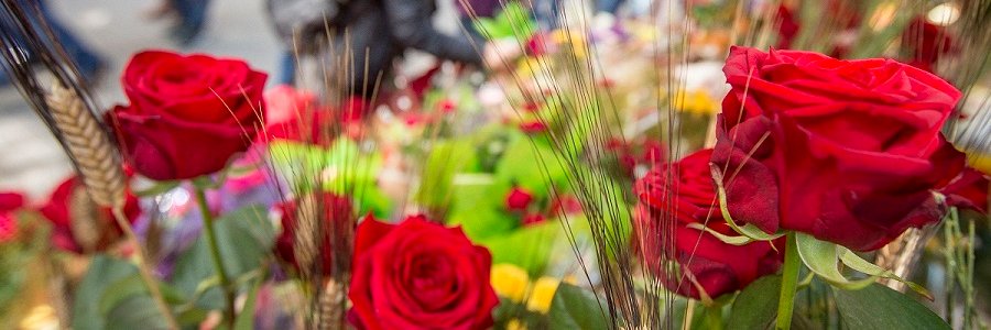 #BooksAndRoses banner