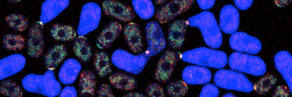 SophieMartinLab Profile Banner