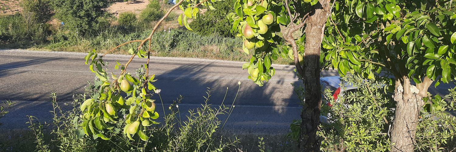 cemer20's profile banner image