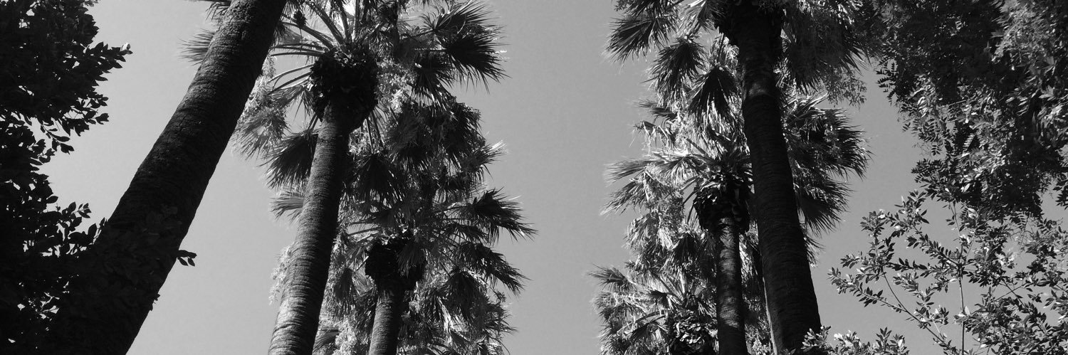 lapipelette35's profile banner image