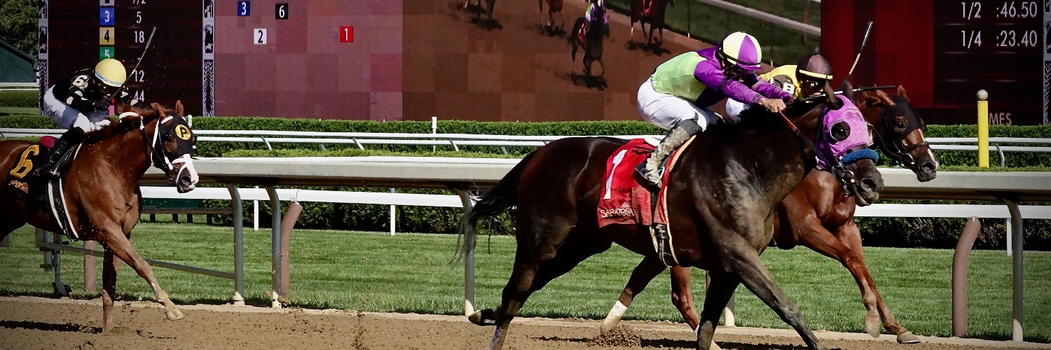 Stephen Drachler banner