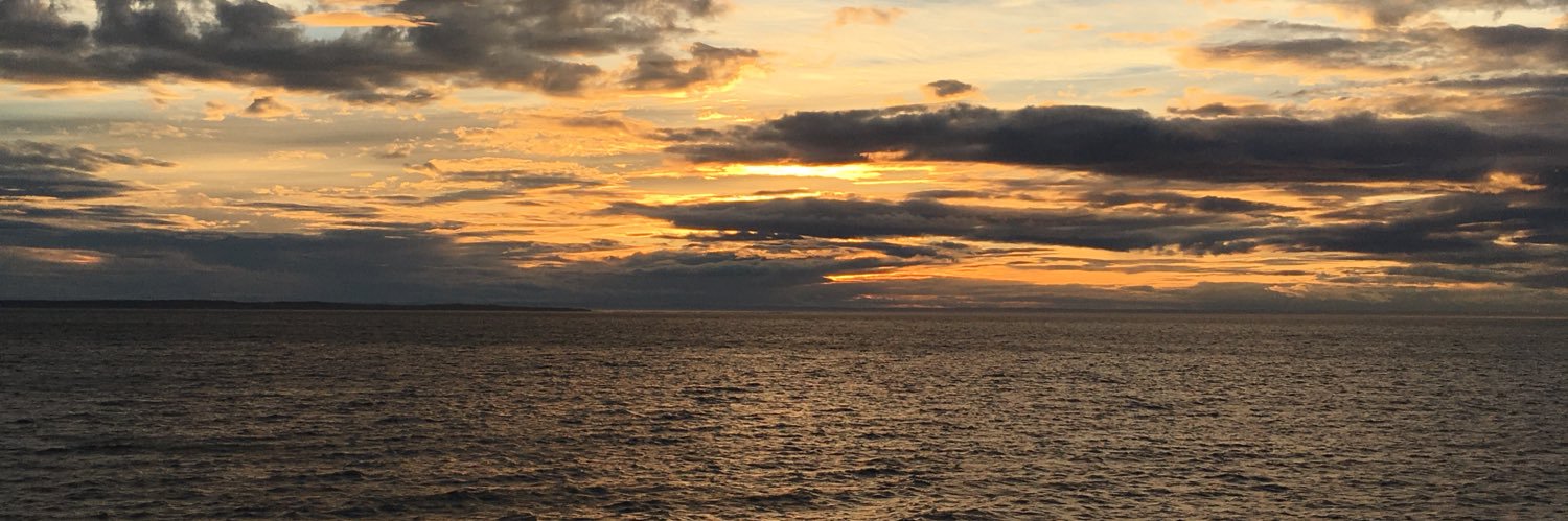 antoinepremont's profile banner image